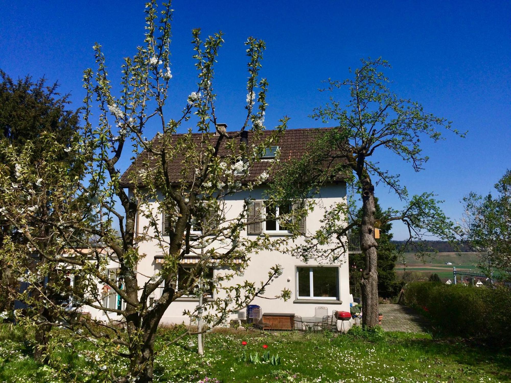 Guntli'S Family Guesthouse Andelfingen Extérieur photo